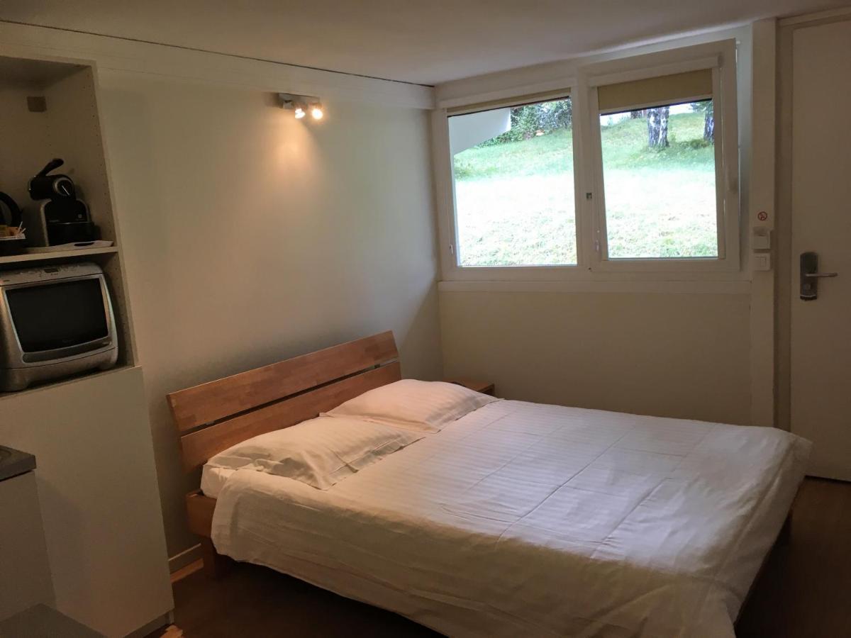 Hotel Pierre Blanche Chatillon-en-Michaille Εξωτερικό φωτογραφία