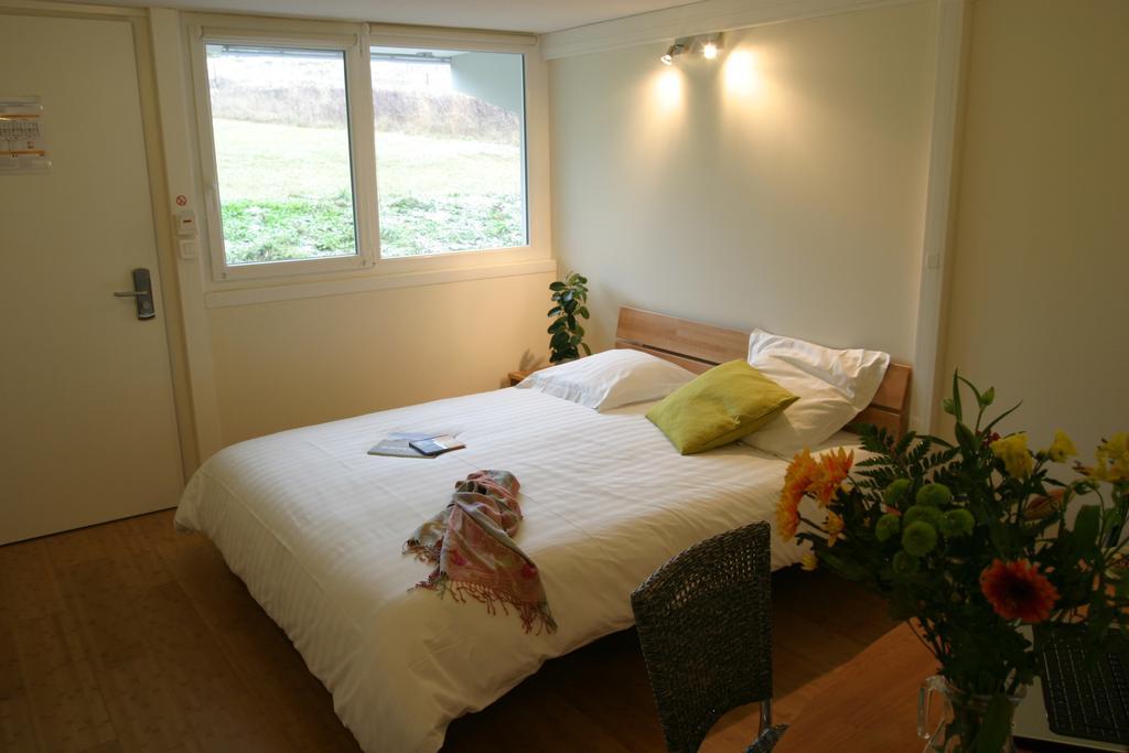 Hotel Pierre Blanche Chatillon-en-Michaille Δωμάτιο φωτογραφία